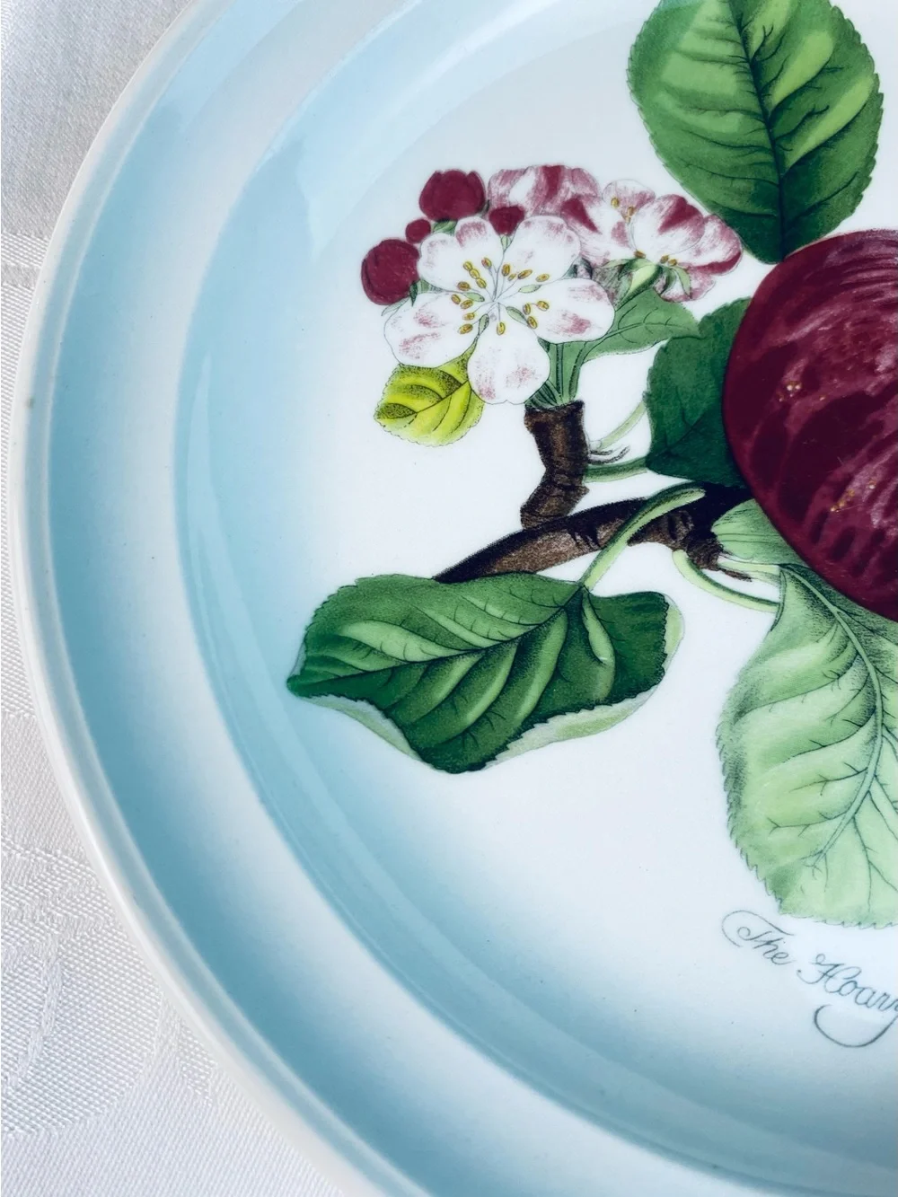 Portmeirion Dinner Plate “The Hoary Morning Apple” 10- 1/2”